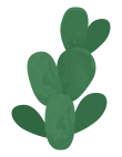 Kaktus